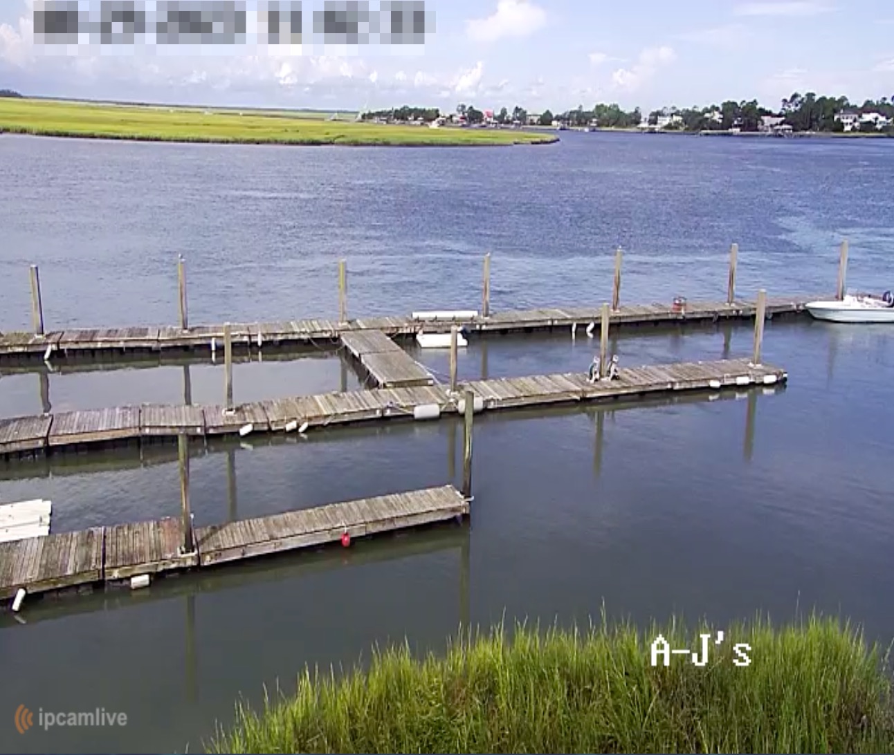 AJ's Dockside Restaurant Live Cam